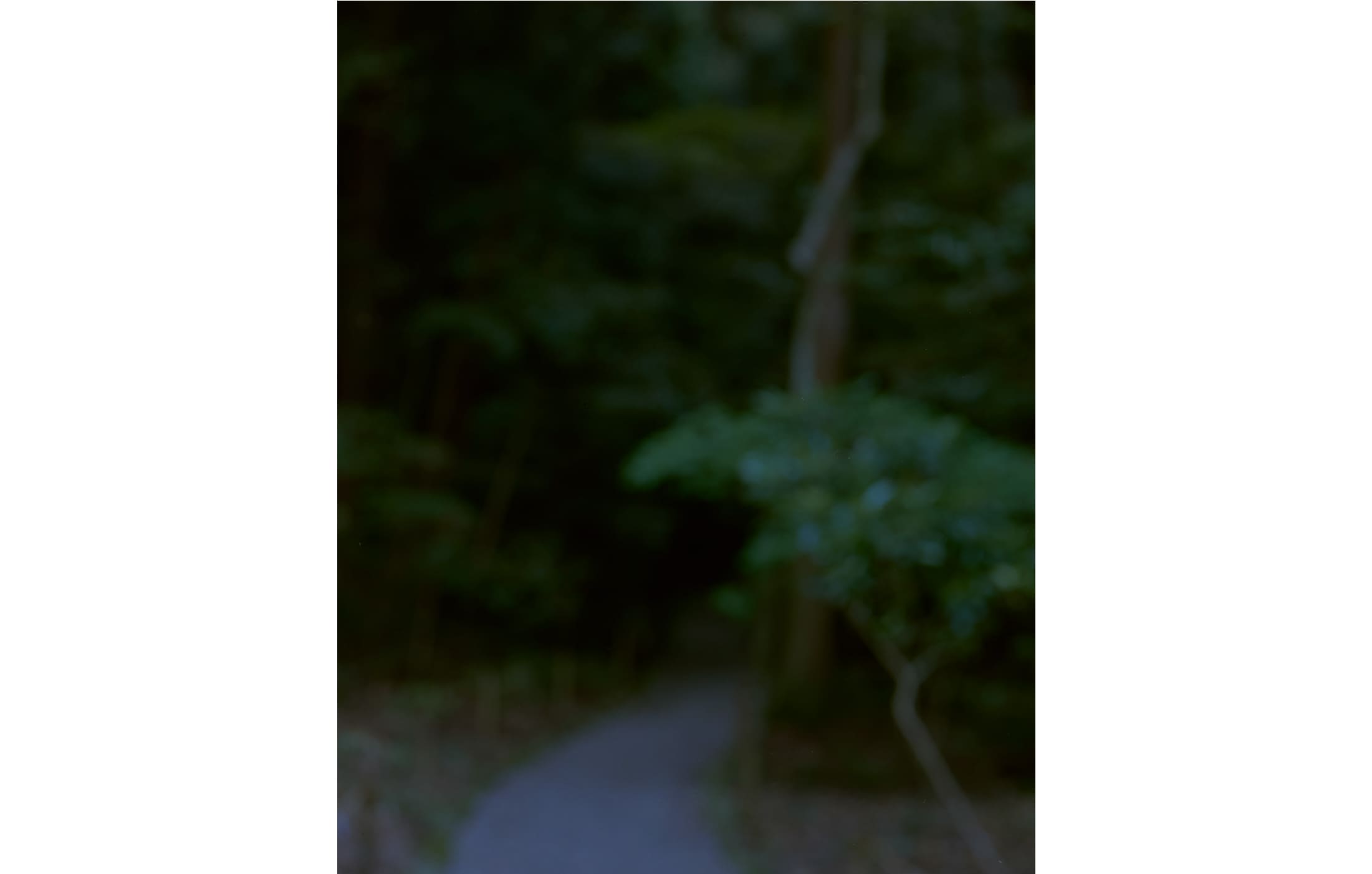 奥山晴日 写真展