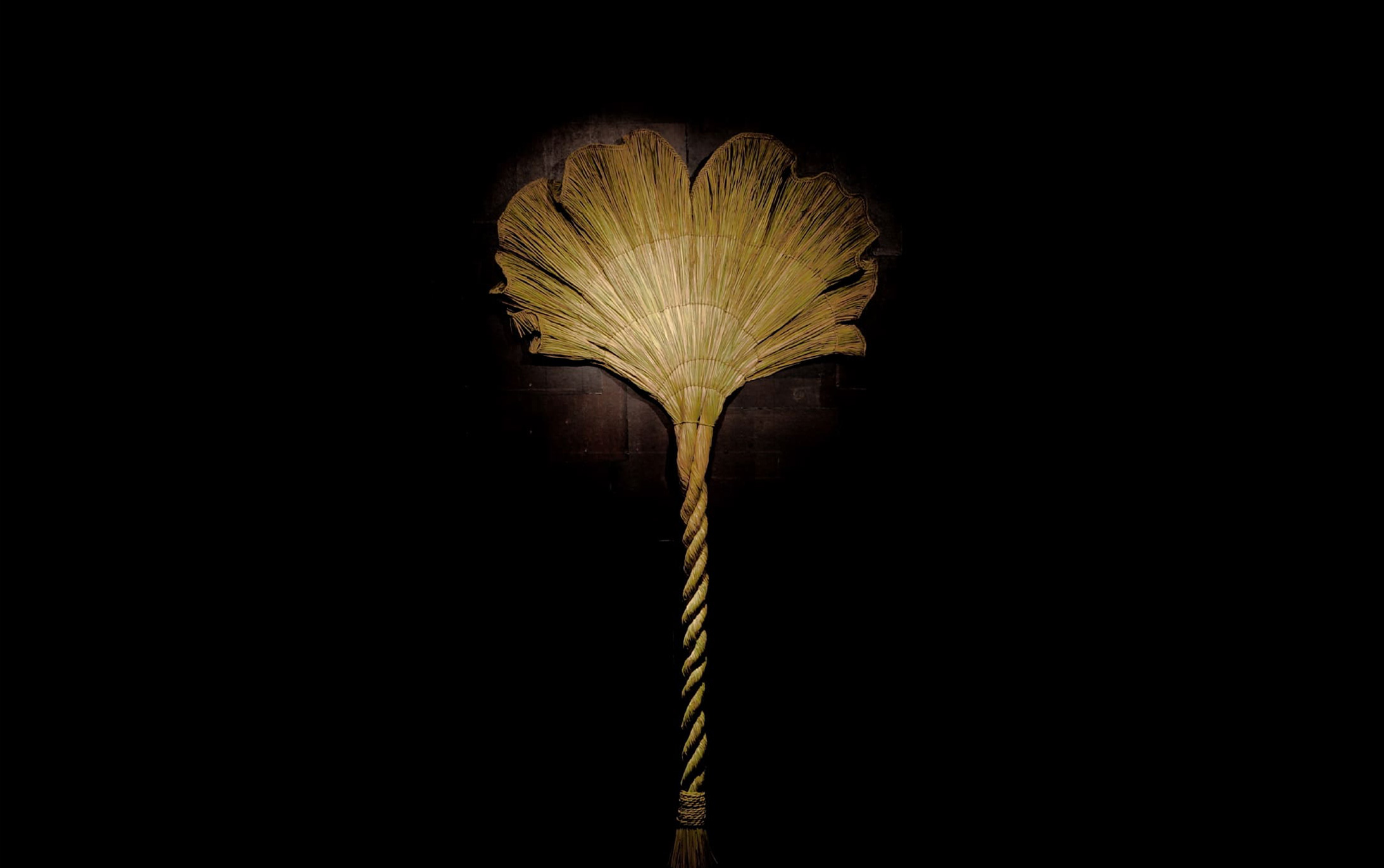 シリクメナワ2025 藤井桃子