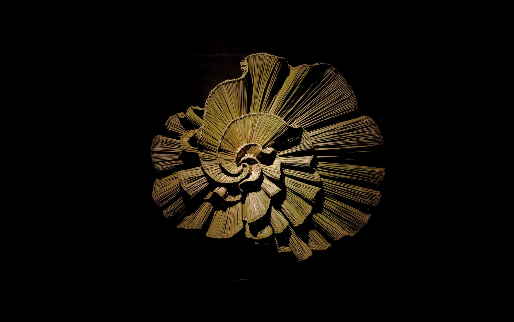 シリクメナワ2025 藤井桃子