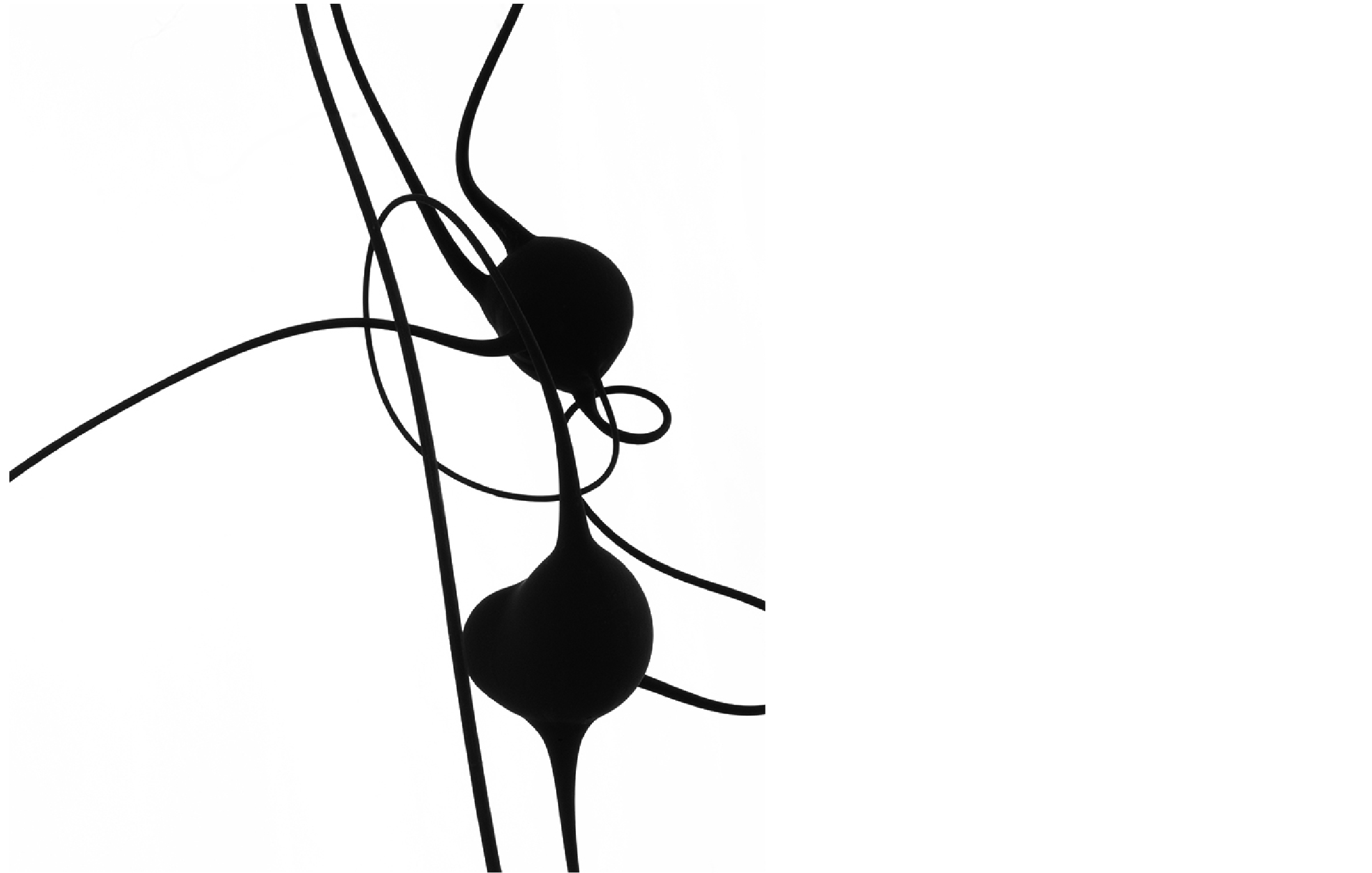 旋 律 小林 千紗